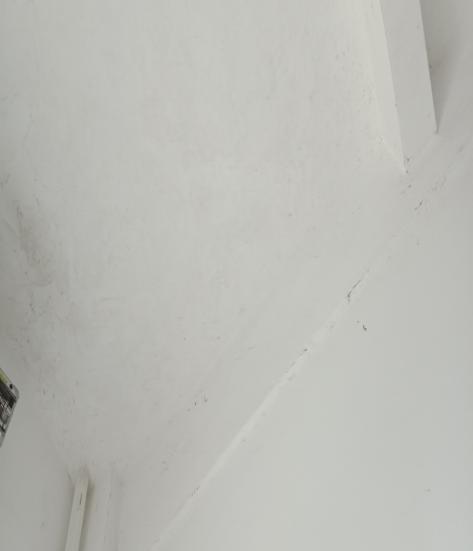  廣州市增城區荔新六路19號麗彥妝生產大樓 鑒定項目